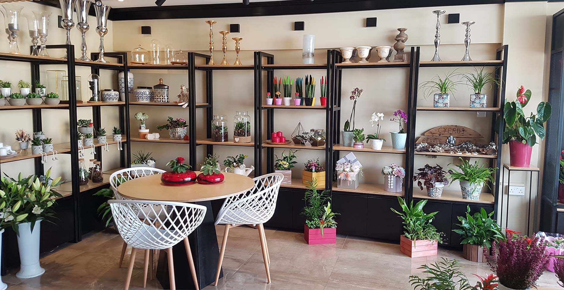 Interview with the owners of Arocaria Flower Shop in Ayia Napa