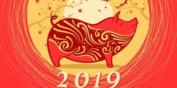 Празднование китайского Нового года 2019 (Весенний фестиваль) - торжественный вечер