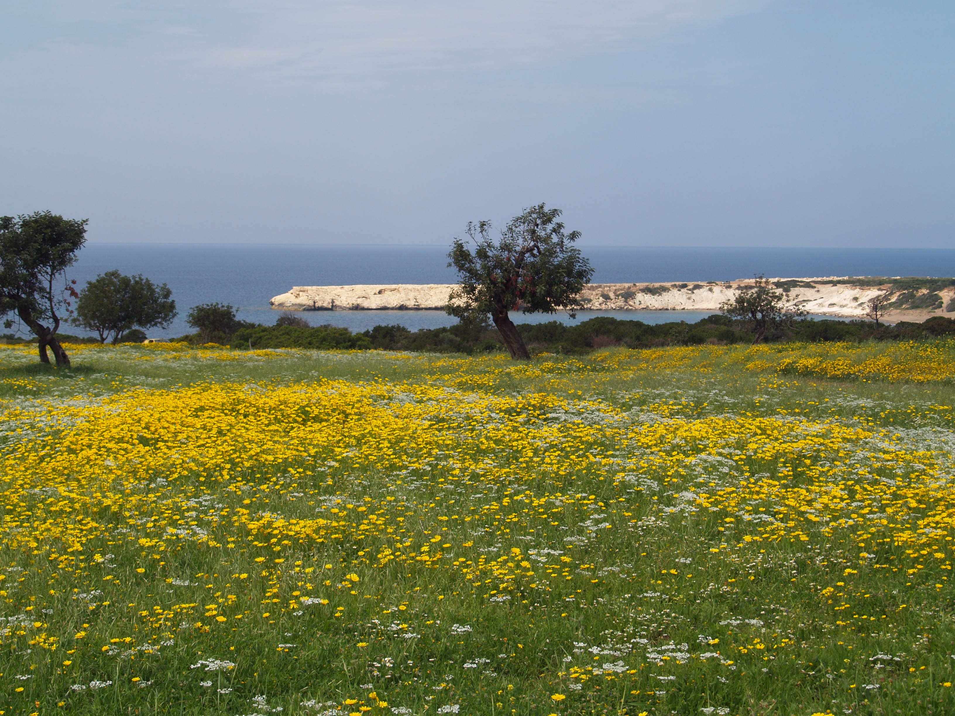Ανακαλύψτε την ανοιξιάτικη κυπριακή φύση, περπατώντας!  