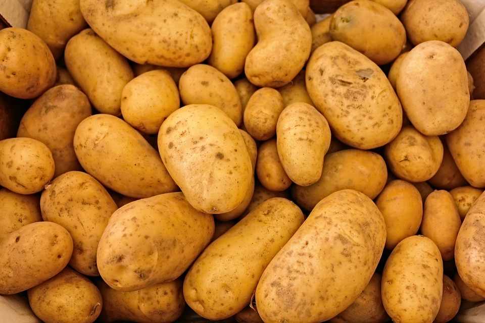 5 unusual uses of potatoes besides cooking