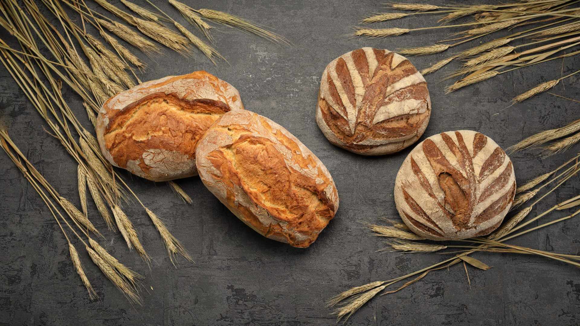 Ζυμώνουμε Ψωμί στη νέα Δημοτική Αγορά Λάρνακας