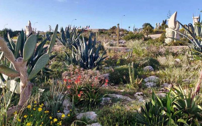 Парк средиземноморских растений, кактусов и суккулентов в Айя Напе