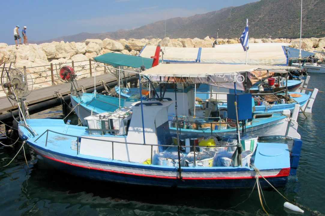 Fishing port of Pomos  (25)