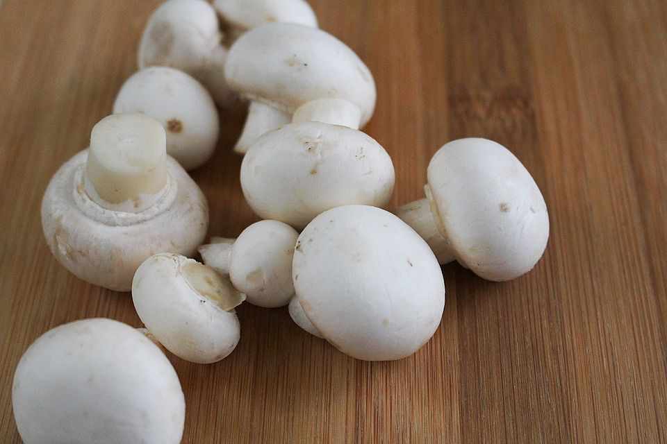 Mushrooms cooked in wine and coriander