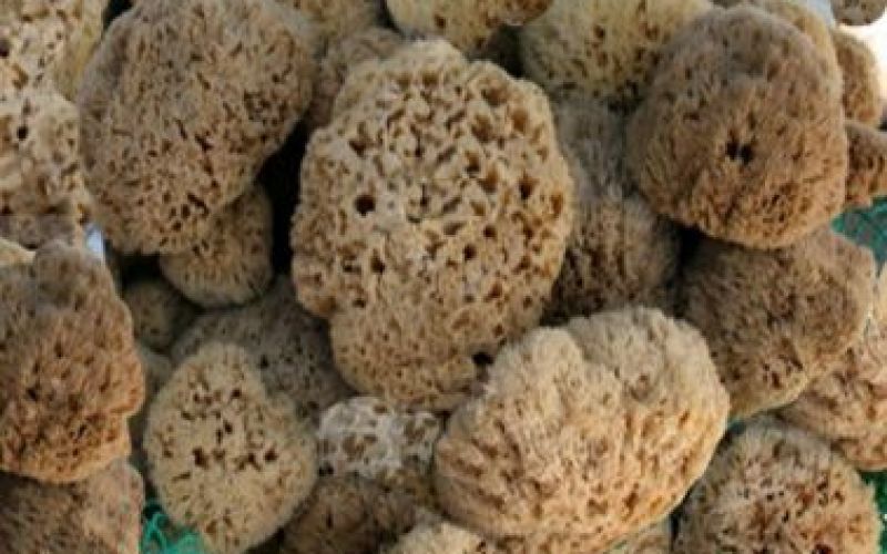 Cypriot sea sponge - Kapadiko natural sea sponge