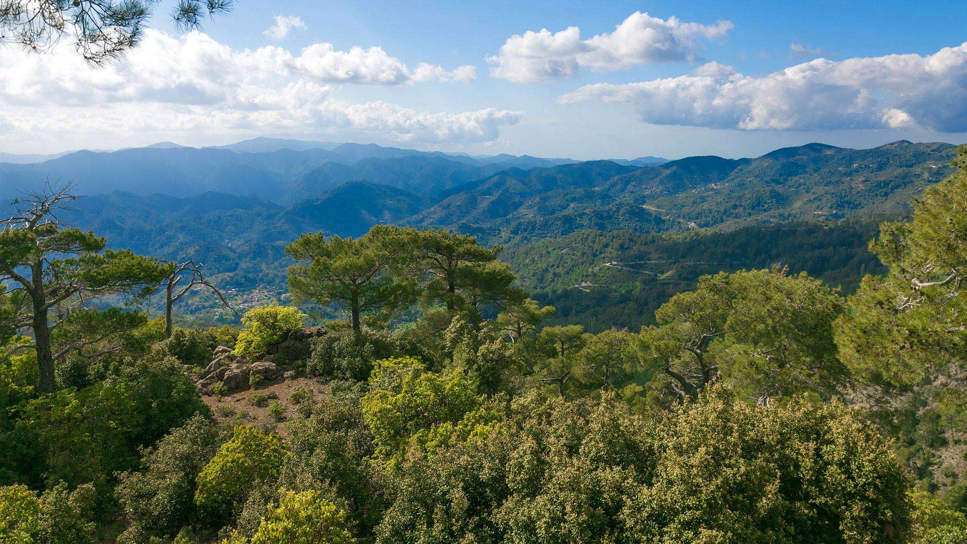 Troodos Mountains Mount Olympus