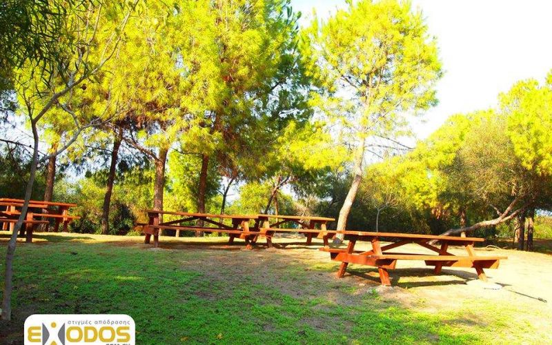 Camping & Picnic Sites