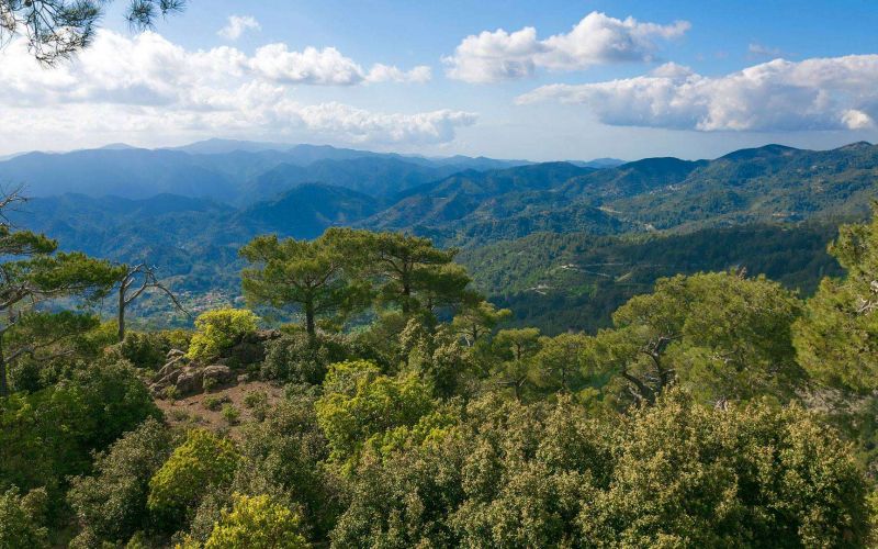 Troodos Mountains - Mount Olympus