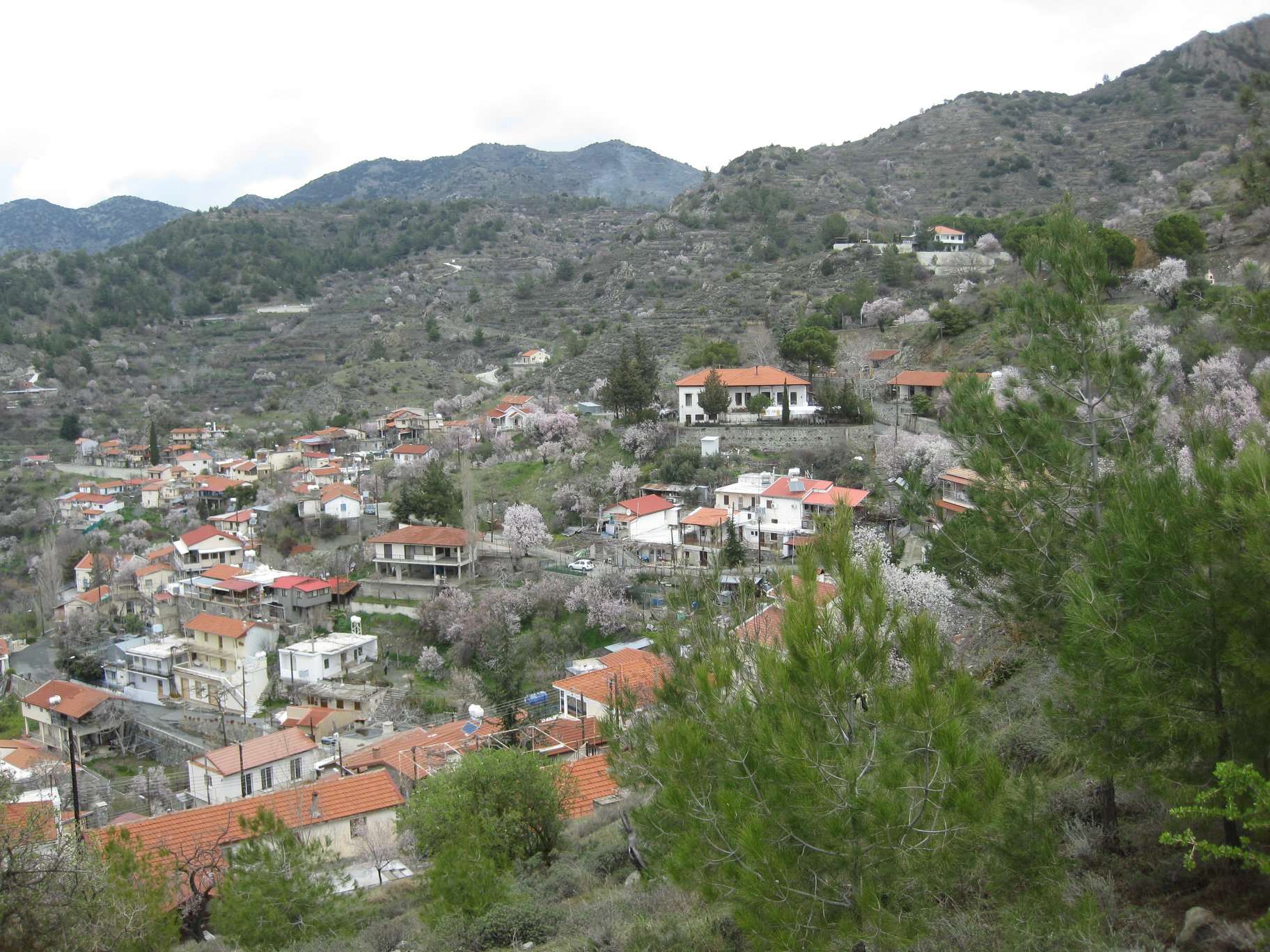 Agios Theodoros Pitsilias
