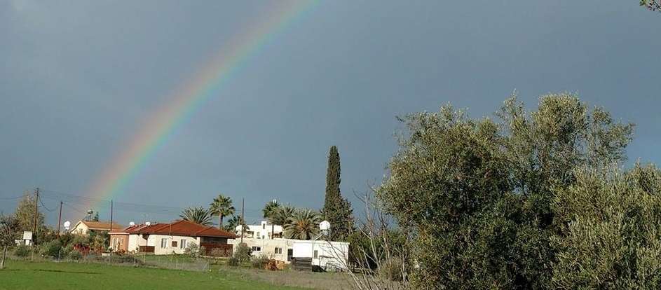 Κοκκινοτριμιθιά