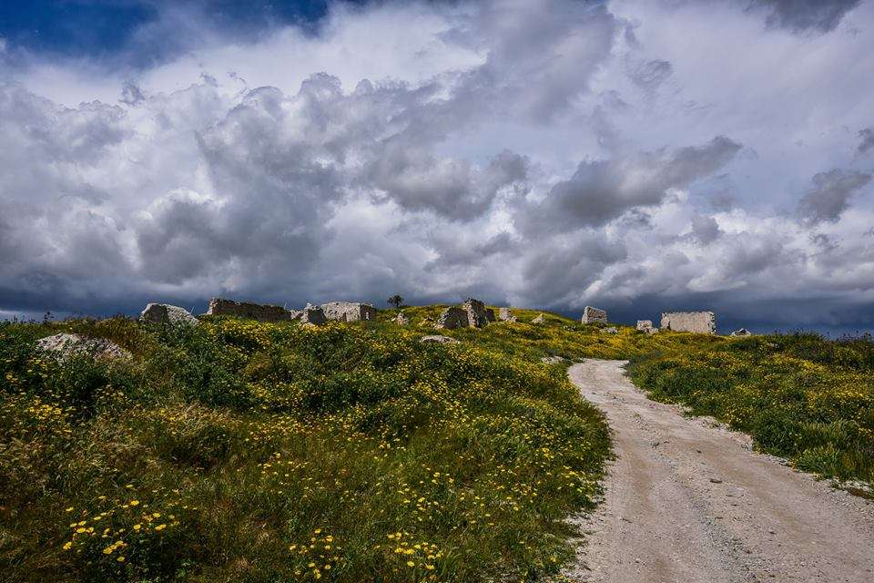 Κόσιη