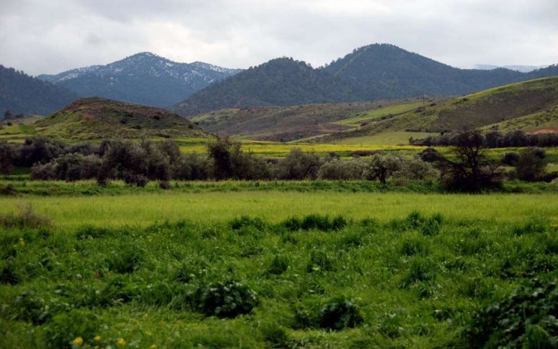Πάνω Κουτραφάς