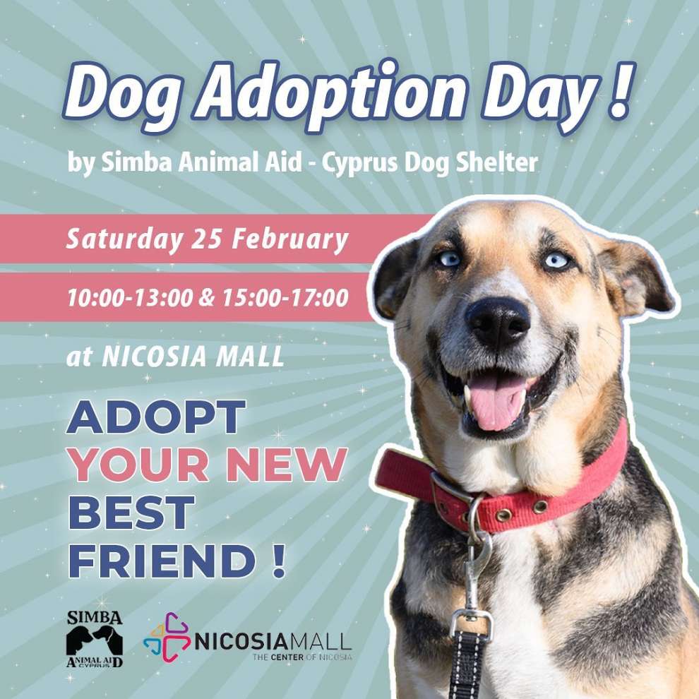 Το Nicosia Mall θα γεμίσει σκυλάκια που ψάχνουν το μόνιμο τους σπίτι