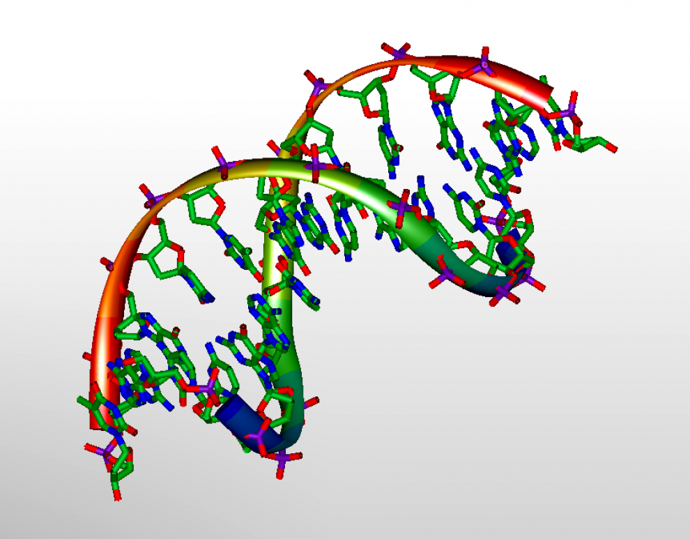 Модель ДНК. 3д моделирование ДНК. ДНК 3d модель. Молекула ДНК 3д.