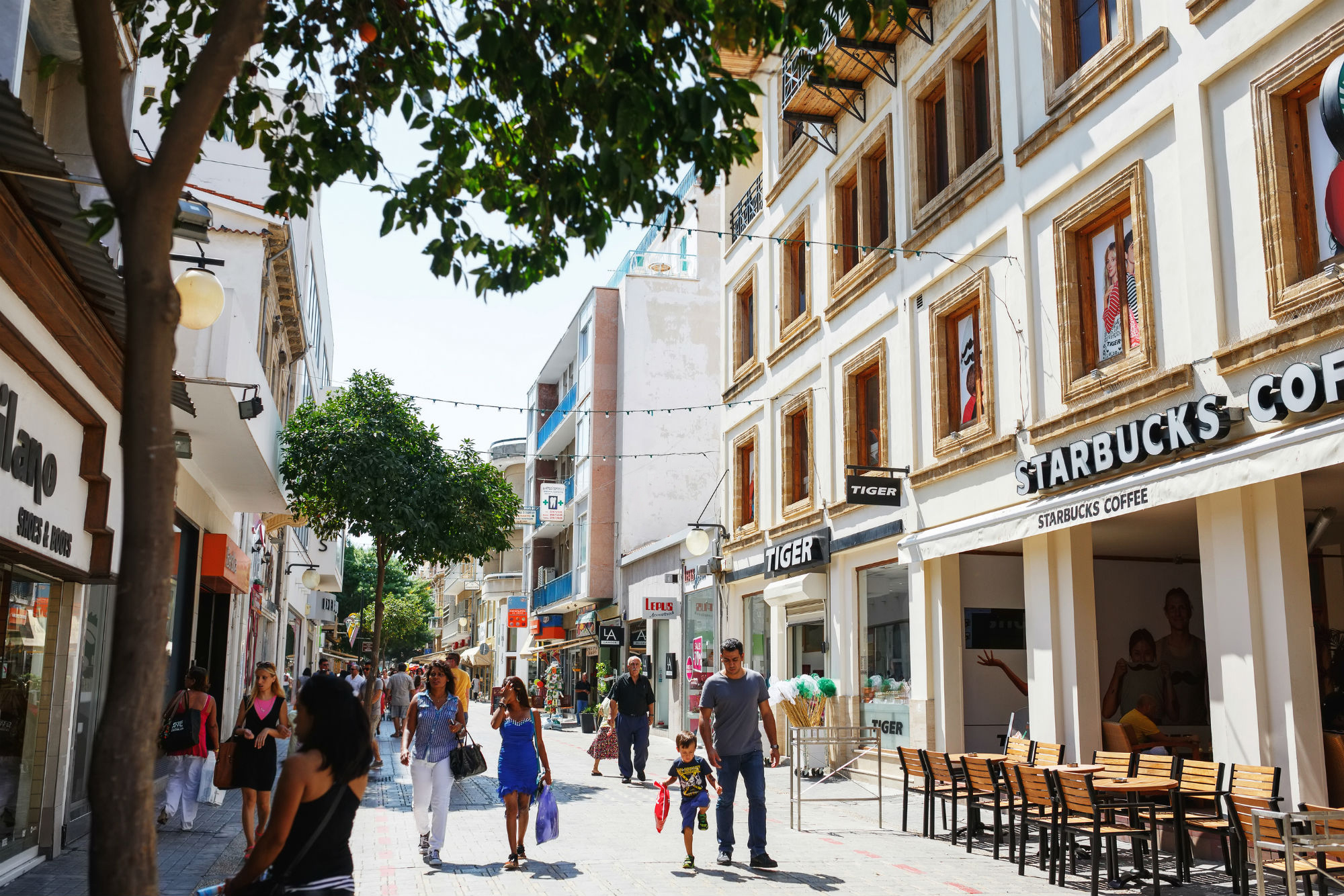 Discover Nicosia