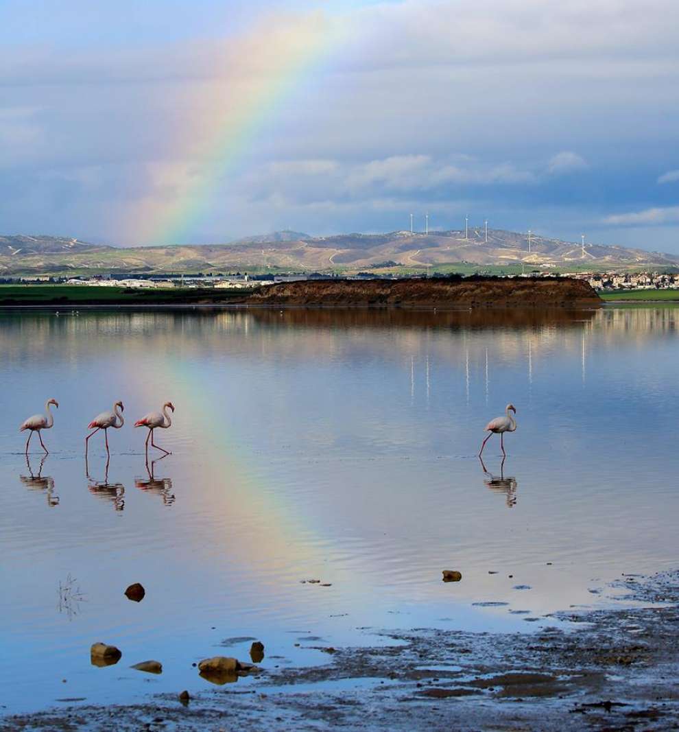 Walking trails and flamingoes