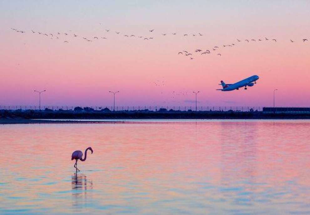 Aliki Salt Lake - Larnaka