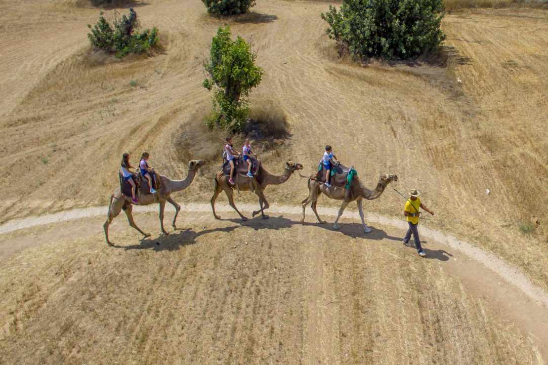 camel Park mazotos - ride
