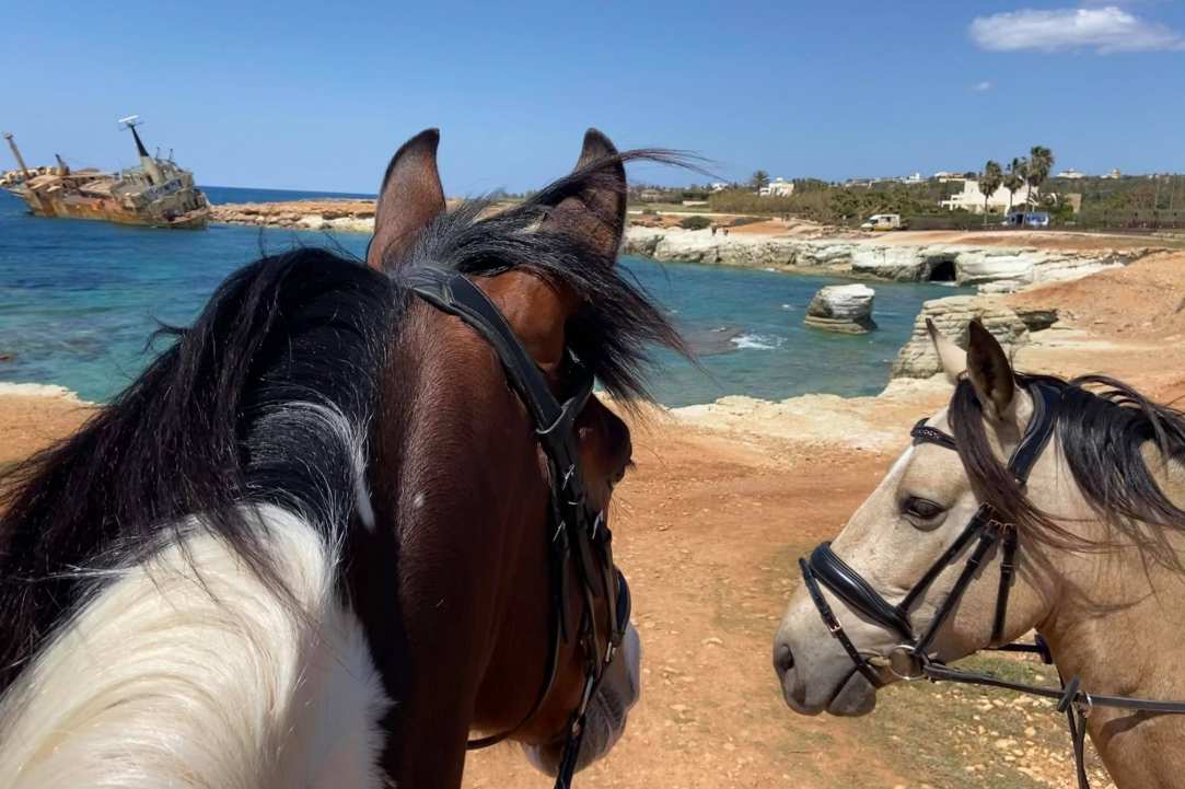 Georges Ranch - Horse Riding in Pafos 2