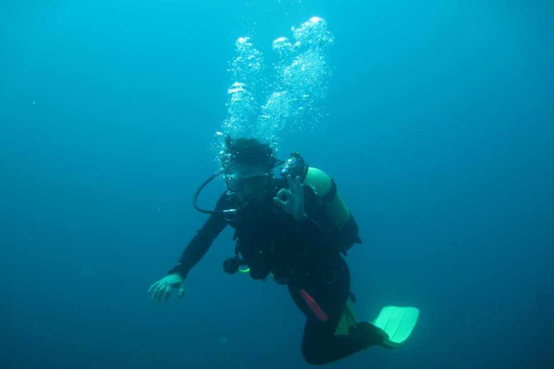 Maria Sitti underwater