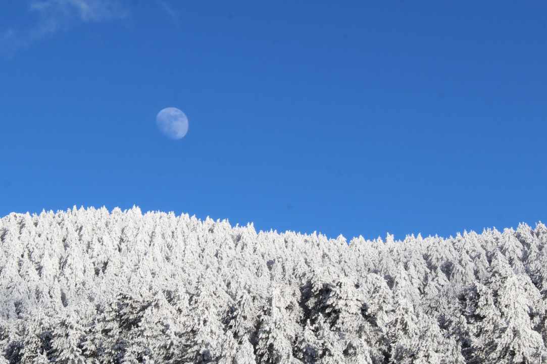 Moon mountains and snowy trees