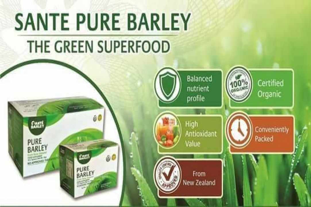 organic barley grass juice03