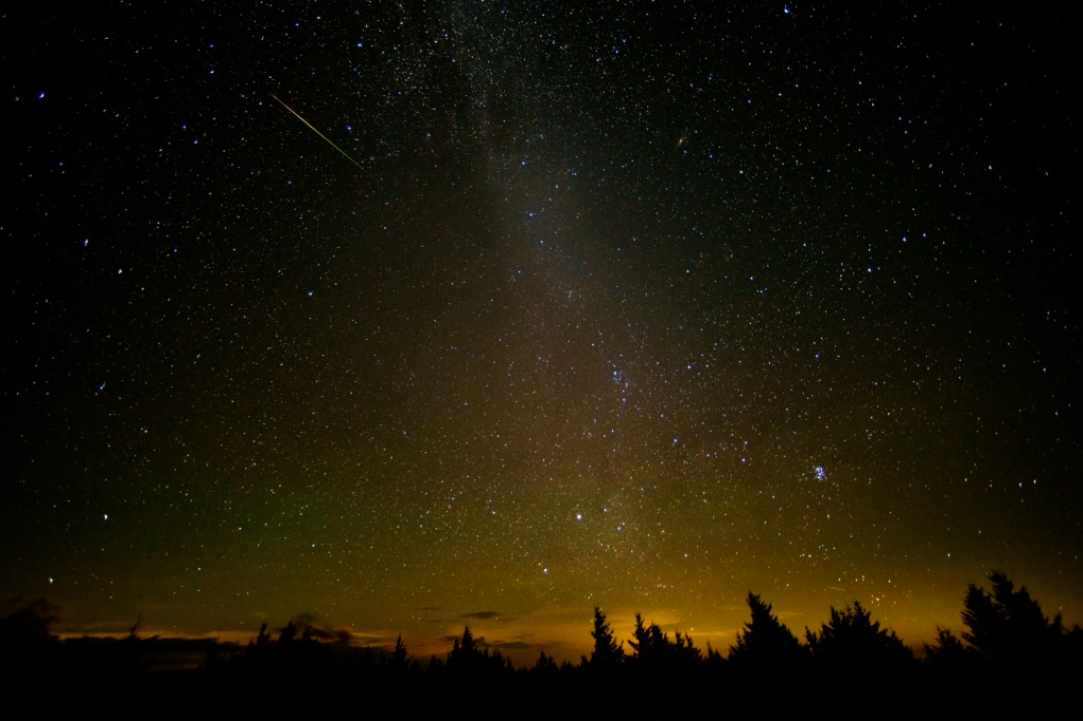 The Perseid shower.