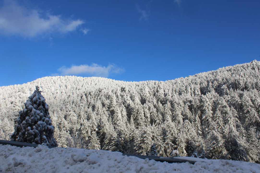 Troodos mountain Cyprus snow