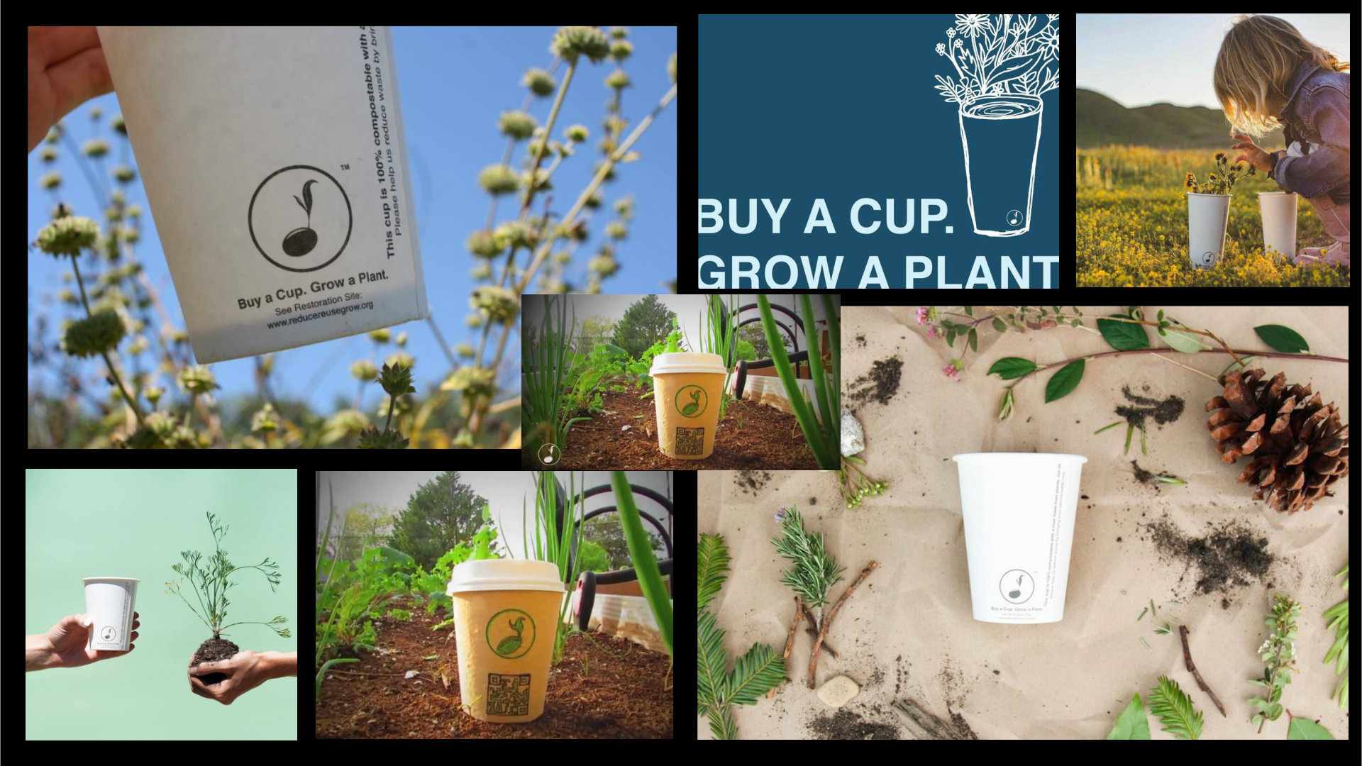 Βιοδιασπώμενα ποτήρια καφέ που περιέχουν σπόρους, μετατρέπονται σε δέντρα