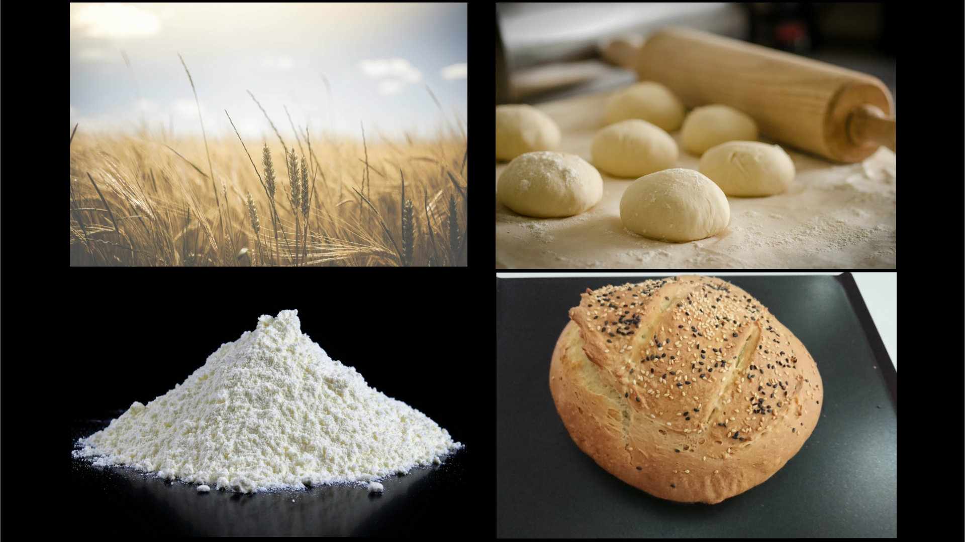 Ψωμί λευκό (κοινό)