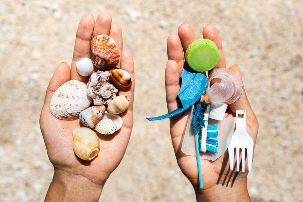 Проект «Сохраним наши пляжи и море чистыми от пластика»