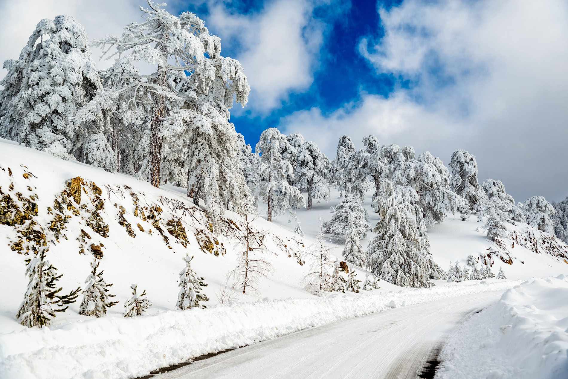 Troodos