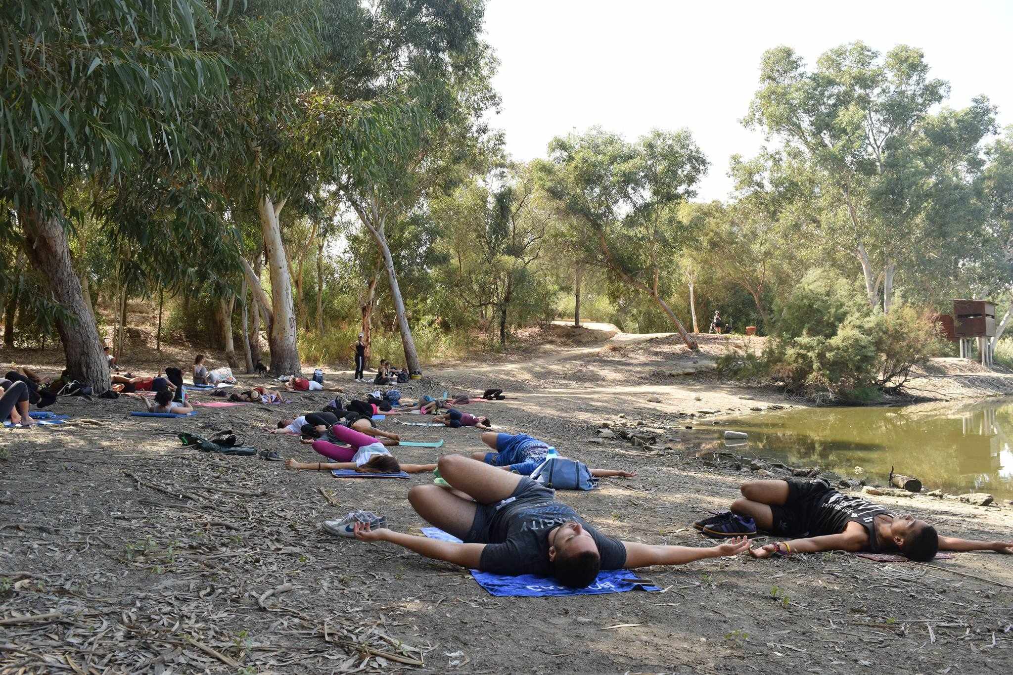 Yoga/Kung Fu and Vegetarian Picnic in the Park