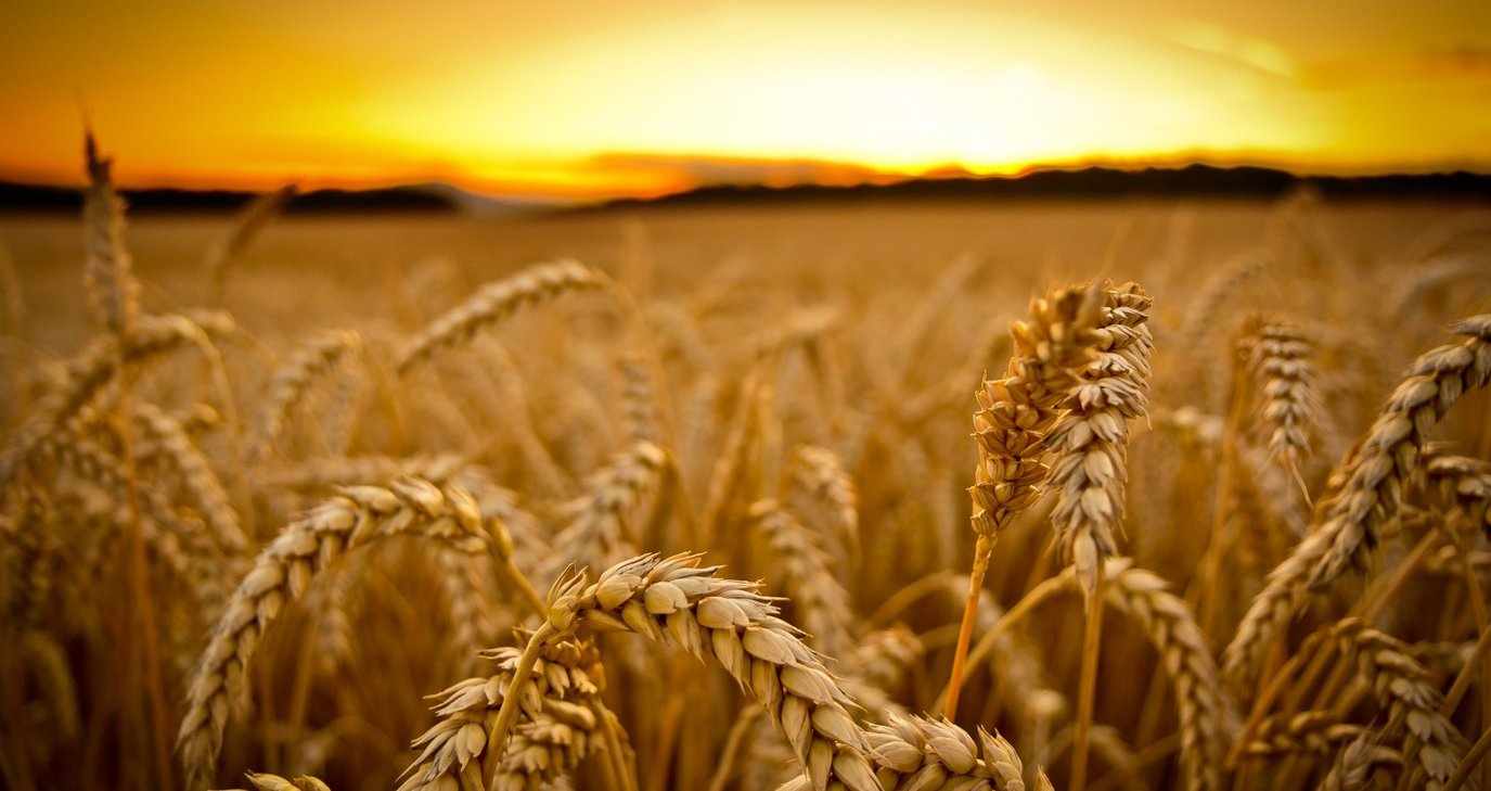 1ο Παγκύπριο Πολιτιστικό Φεστιβάλ Θέρους