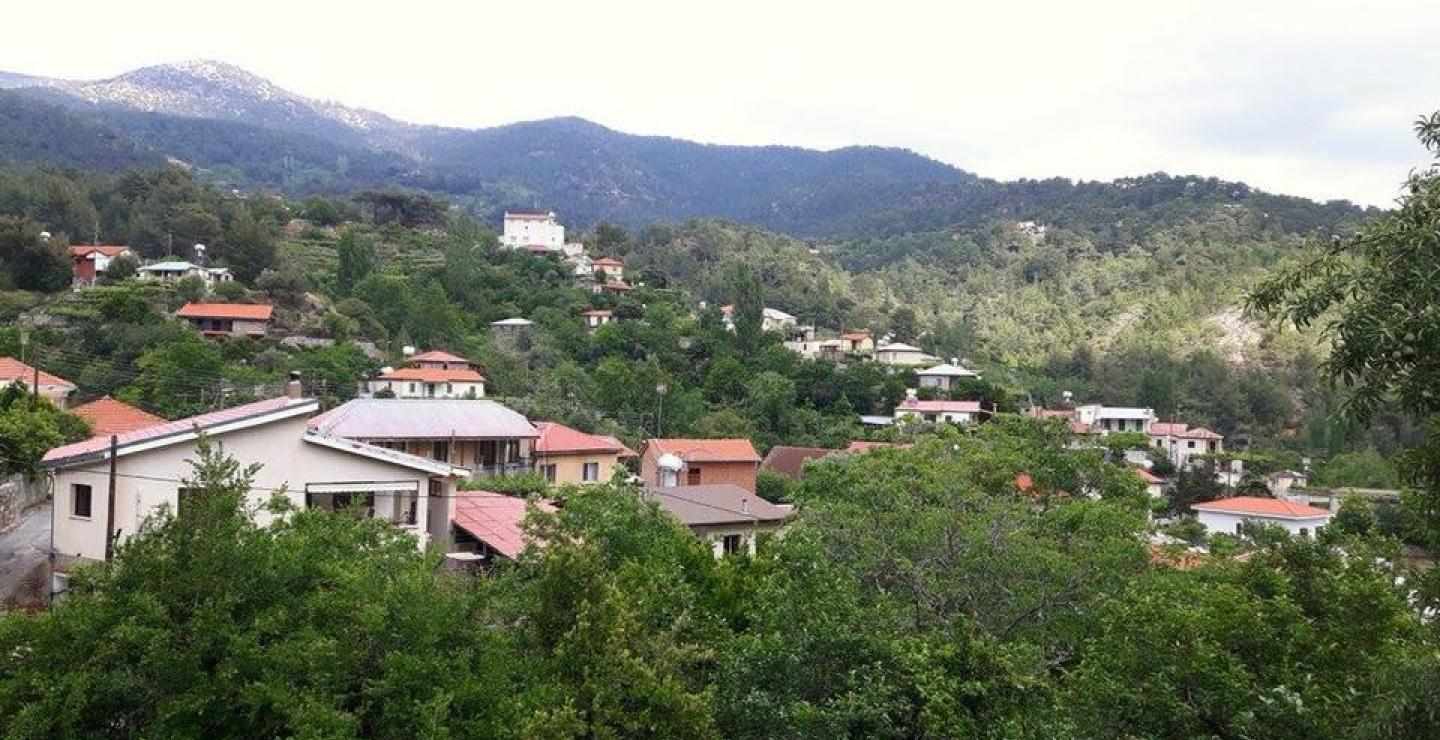 Το 3ο Φεστιβάλ Παράδοσης "Τ’ Άη Δημητριού", είναι γεγονός