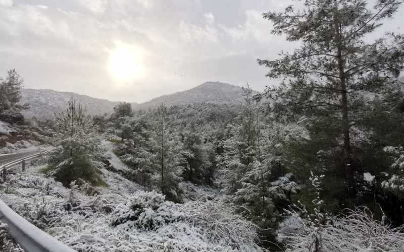 Μαγευτικές εικόνες: Χιονισμένο τοπίο στον Μαχαιρά - ΦΩΤΟΓΡΑΦΙΕΣ και ΒΙΝΤΕΟ έξω από το Λυθροδόντα