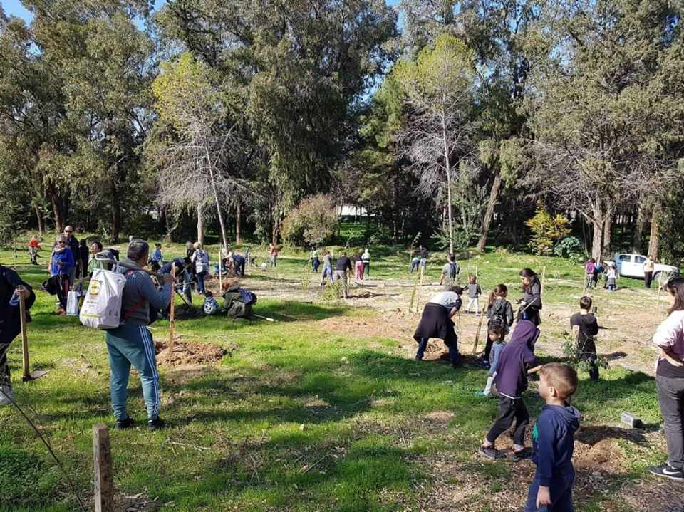 300,000 Trees in Nicosia, 4,722 trees have been planted