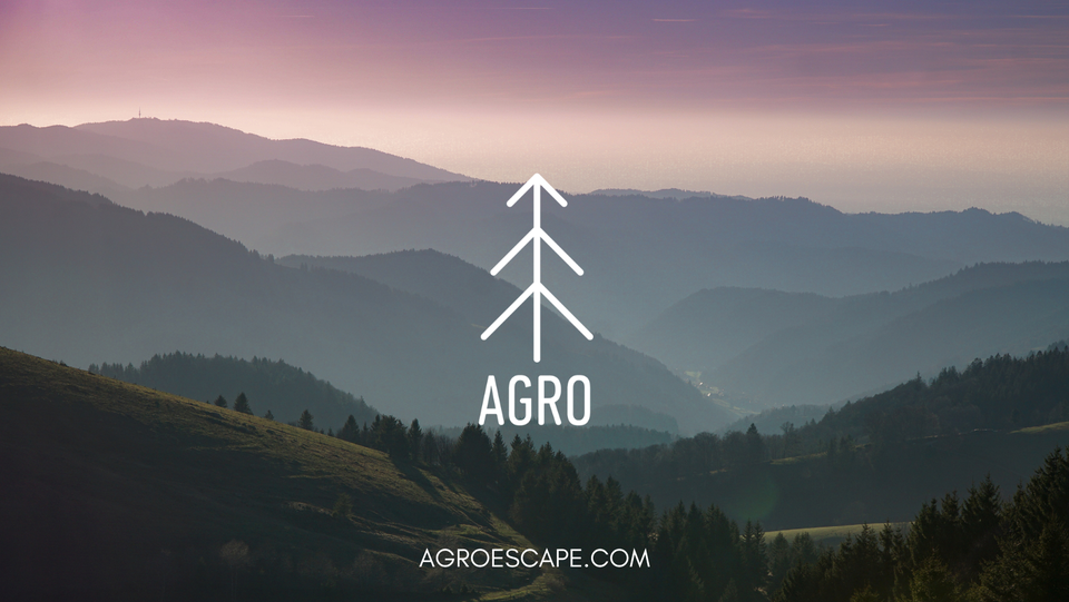 AGROFEST 2025: Ένα μοναδικό τριήμερο στην καρδιά των Πλατρών!