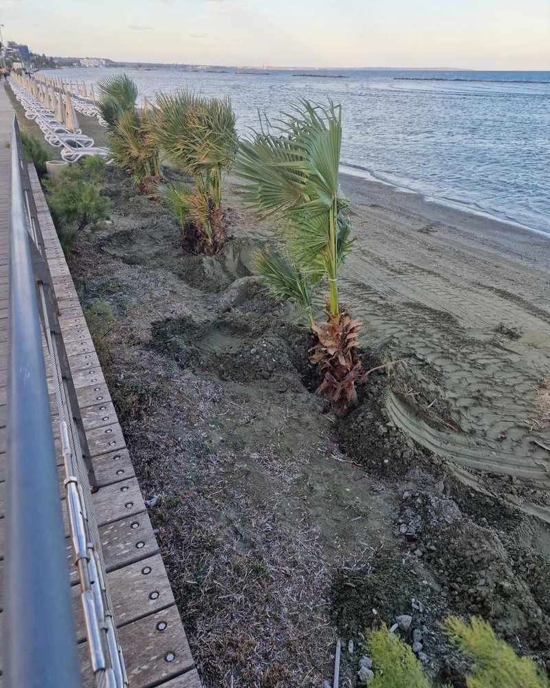 Πράσινες παρεμβάσεις για την αναβάθμιση του παραλιακού μετώπου Λάρνακας