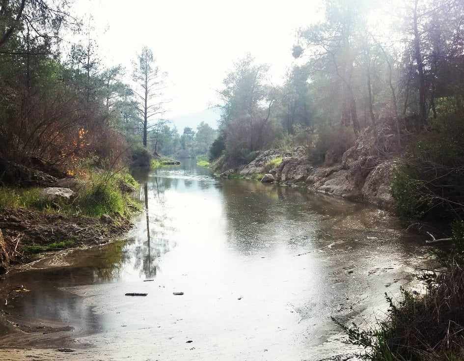 Δελίκηπος, το καταπράσινο χωριό της Λάρνακας που πρέπει να επισκεφθείτε σήμερα!