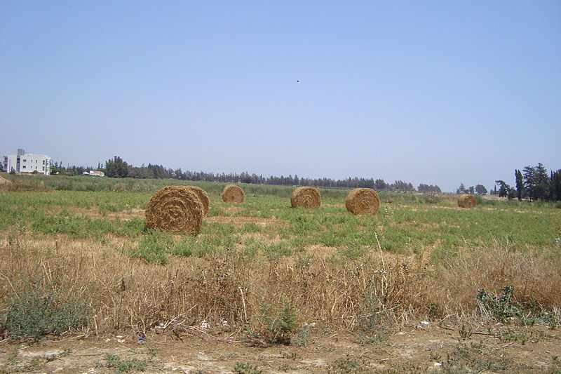Πρόγραμμα Κατάρτισης "Αγροτουρισμός-Εναλλακτικός Τουρισμός", από τις 10-24/01/19!
