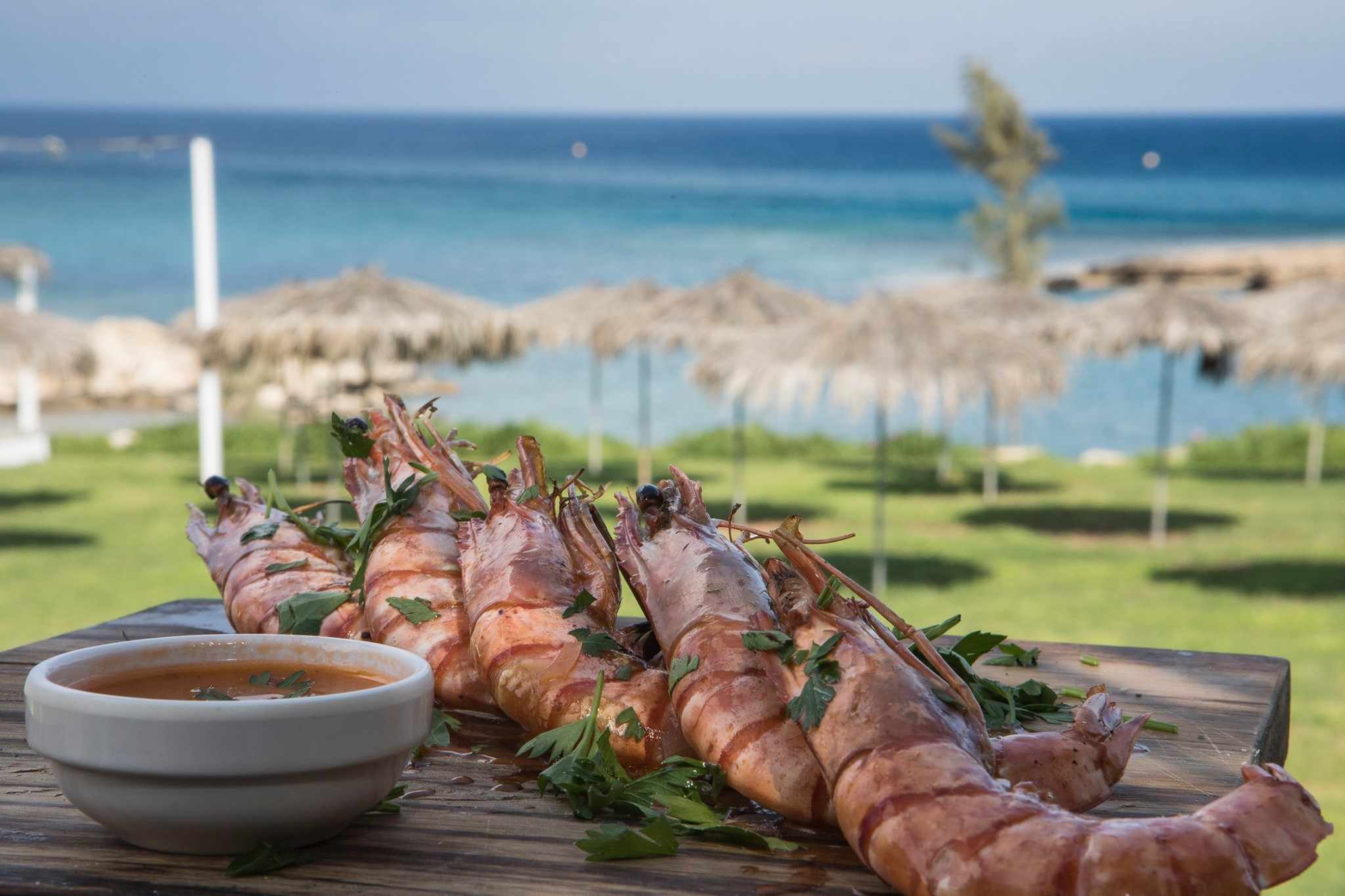 Συνέντευξη με τον ιδιοκτήτη του Aeyialos Fish Restaurant στον Πρωταρά