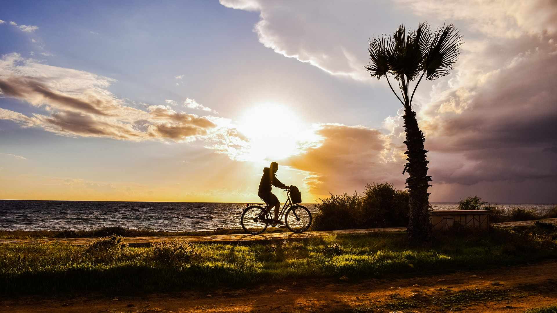 Bicycle road in Nicosia? Or Larnaca?