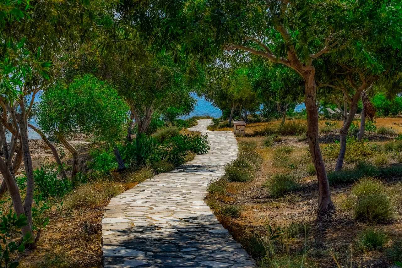 Αγία Νάπα: Βραβείο Πράσινης Πόλης 2018