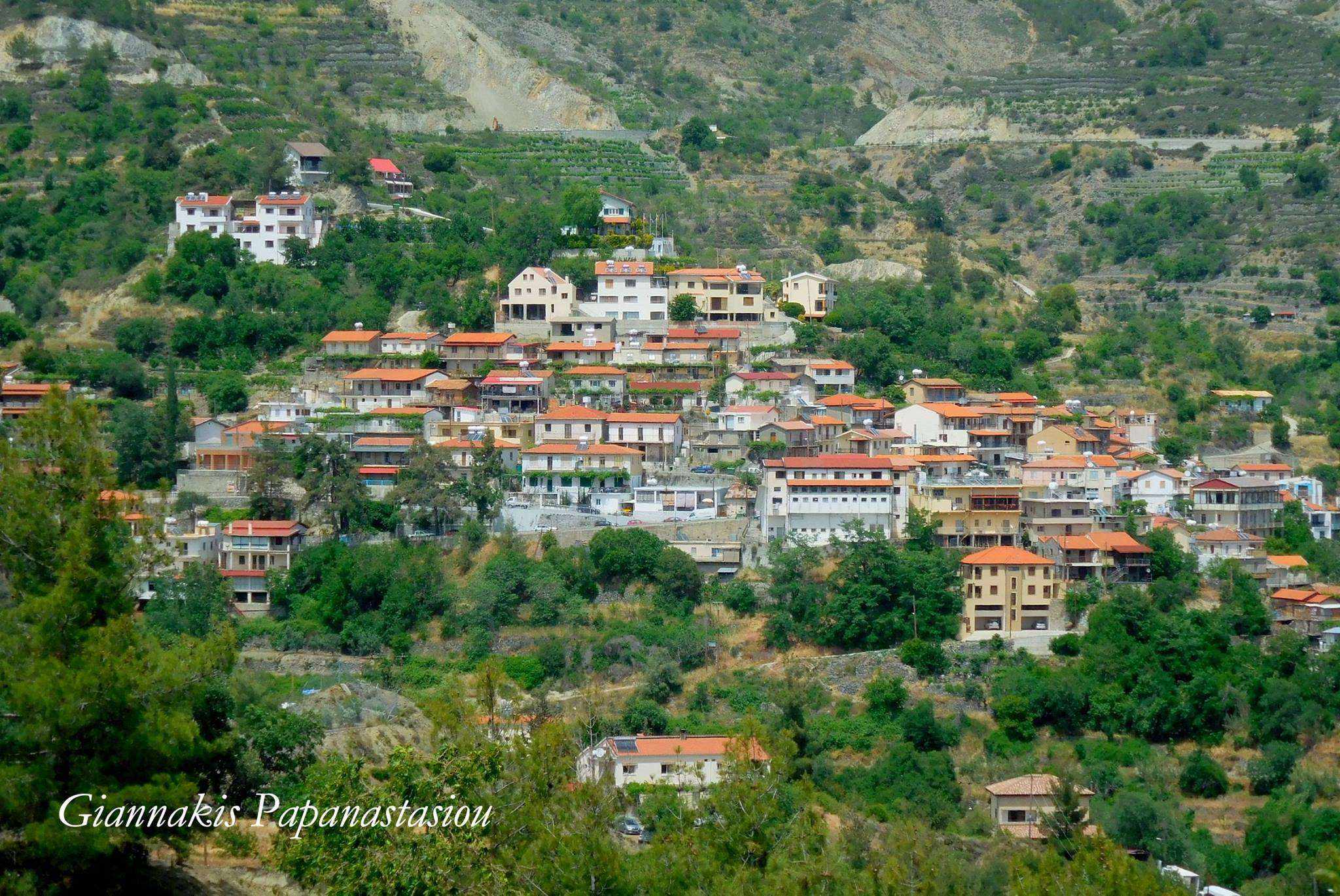 Exploring the Tradition of Roses in the Agros Village!