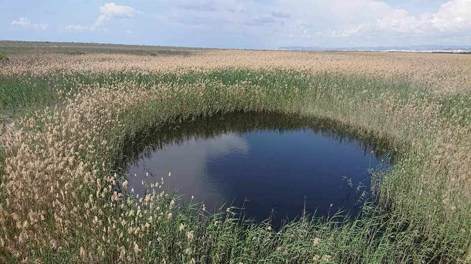 Болото Акротири - уникальное природное водно-болотное угодье на полуострове Акротири