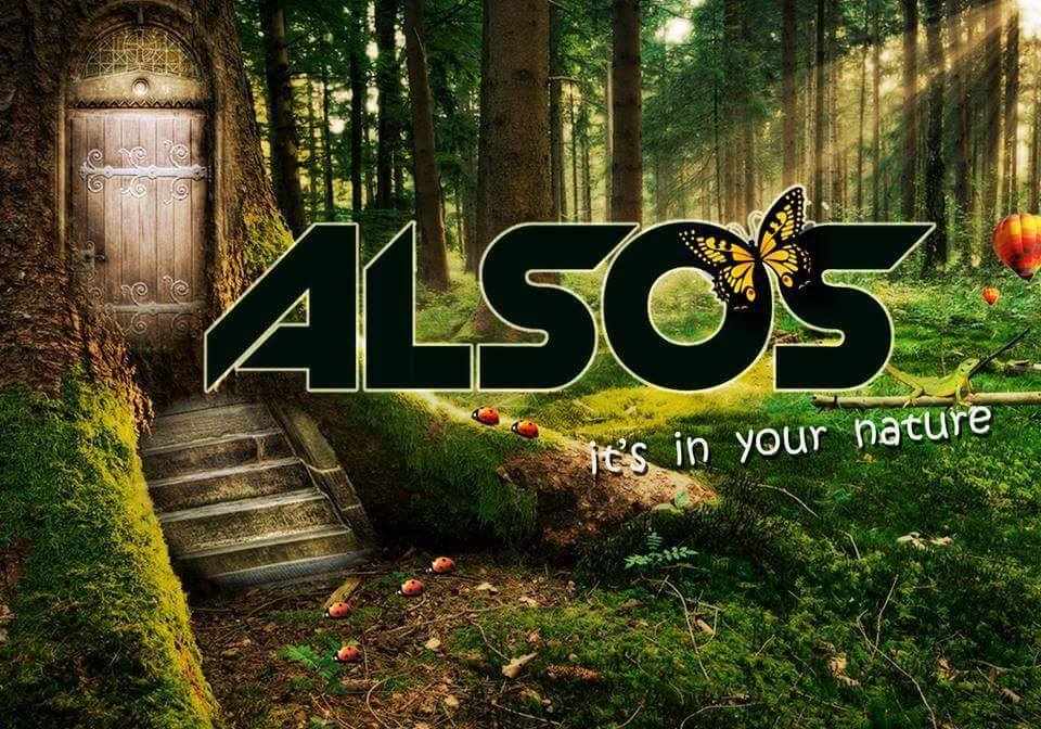 ALSOS FESTIVAL: Arts · Sense · Awakening · Motion