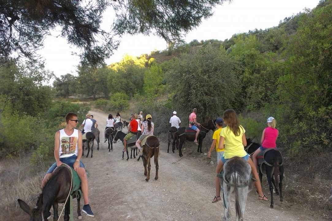 Εκδρομή με τα παιδιά σε ένα αγρόκτημα με γαϊδουράκια