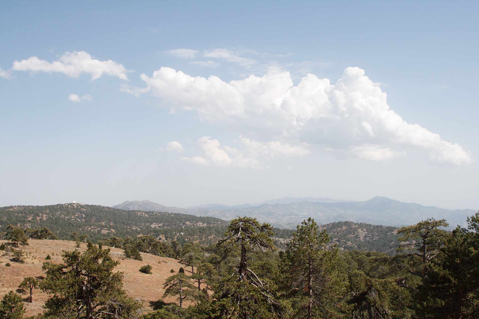 Artemis Trail, Troodos