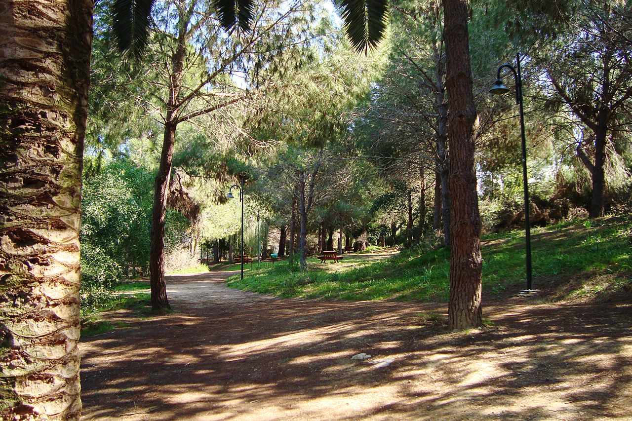 Bicycle road in Nicosia?